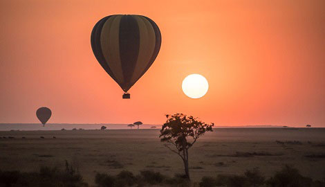 Hot Air Balloon Serengeti