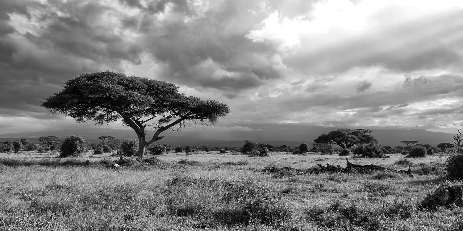 Masai Mara or Serengeti