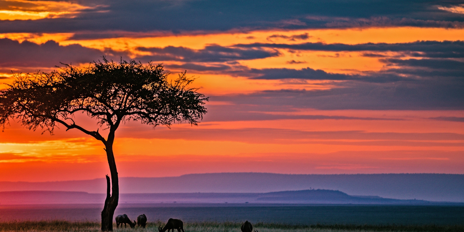 important reasons for visiting serengeti
